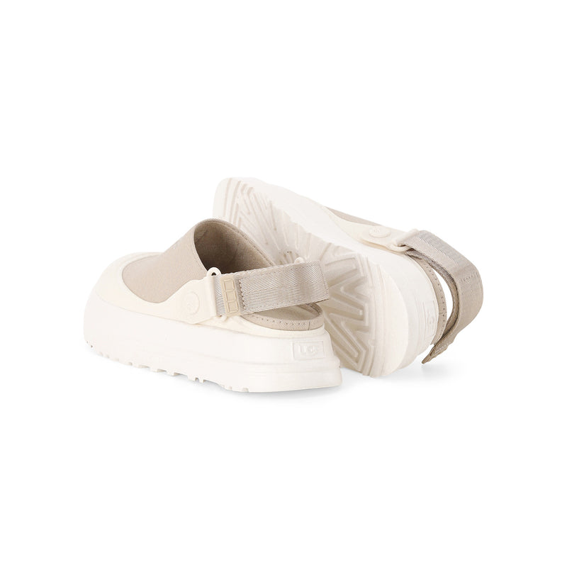 1175295 MDSD 11 / mustard seed