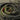 BOTANICA One Size / olive