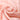 Tuch aus Kaschmir One Size / Rosa
