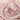Tuch Aliki aus Kaschmir & Seide One Size / Beige