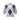 Pullover aus Kaschmir & Wolle 42 / Grau